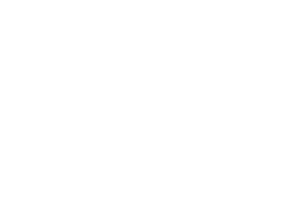Thunder Solution